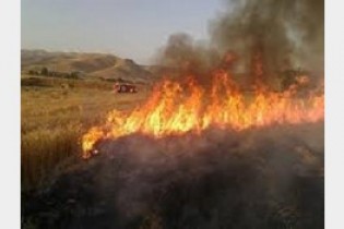 2 هکتار از مزارع لردگان در آتش سوخت
