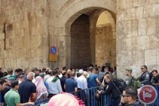 حضور هزاران فلسطینی برای آخرین نماز جمعه ماه رمضان را در مسجدالاقصی