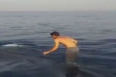 فیلم/ نهنگ سواری تفریح جوانان بوشهری است  <img src="/images/video_icon.gif" width="16" height="13" border="0" align="top">