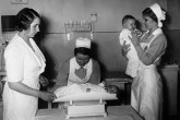 تصاویر/ ماجرای خواندنی زنانی که برای هیتلر حامله میشدند