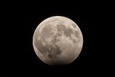 تصاویر/ ماه گرفتگی دیشب در تهران  <img src="/images/picture_icon.gif" width="16" height="13" border="0" align="top">