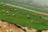 واگذاری حفاظت از ۲۰ میلیون هکتار عرصه منابع طبیعی به مردم