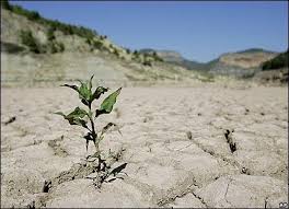 ۳۰۰ شهر در خطر تنش آبی/کاهش 80 درصدی بارندگی در برخی از شهرها