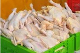 قیمت مرغ به ۷۸۰۰ تومان رسید