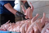 نرخ هر کیلو مرغ به ۷۲۵۰ تومان رسید