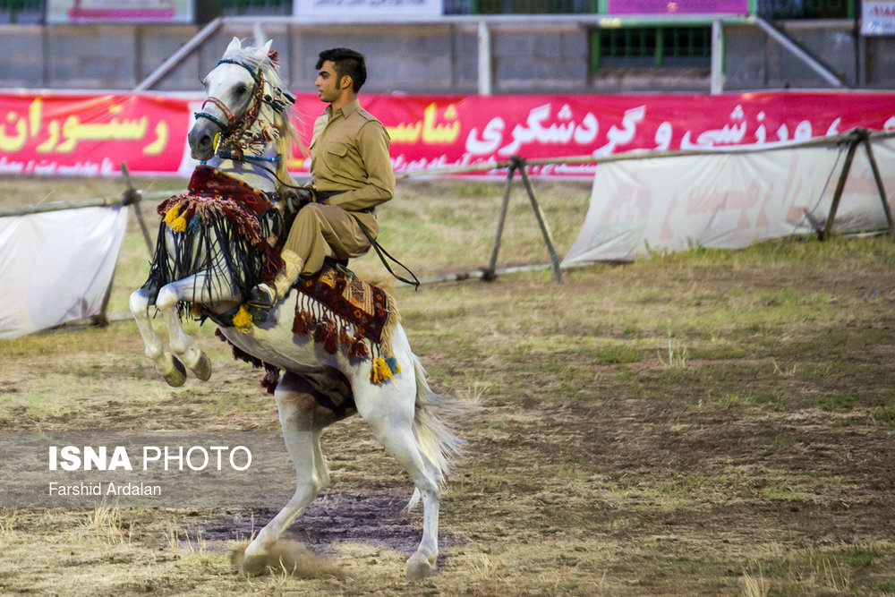 جشنواره ملی اسب کُرد - سنندج