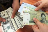 پول‌های سرگردان عامل گرانی/ احتمال ریزش نرخ ارز