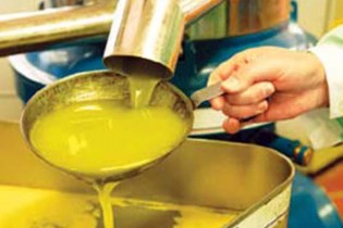 افزایش قیمت روغن‌ با وجود دریافت ۱۵۶ میلیون یورو ارز دولتی