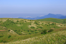 ایران زیباست؛ دشت گل های بابونه فندقلو - اردبیل