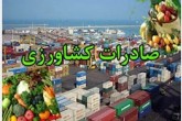 صادرات دو میلیون تن محصولات کشاورزی/تراز تجاری۴۳ درصدبهتر شد