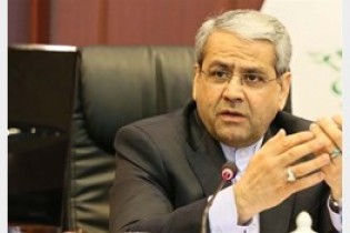 بالاترین خریدار سکه پادو یک شرکت است/ تحویل لیست ۵۰ نفر اول خریدار سکه