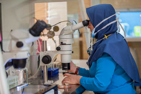 مركز فوق تخصصي درمان ناباروري جهاد دانشگاهی استان مرکزی