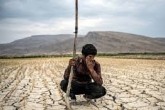 ۵۶ سد کشور وضعیت "بحرانی" دارند