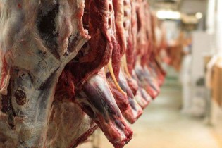 مشکلی در بازار گوشت قرمز نداریم