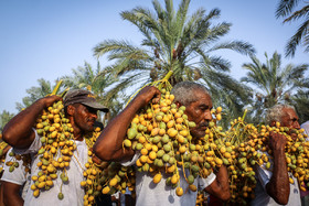 مراسم آئینی مغ و مشتا