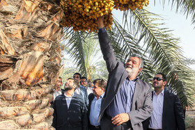 سفر وزیر جهاد کشاورزی به اهواز