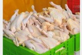 مازاد مصرف ۱۰ هزار تن گوشت مرغ /مرغ درشت نخرید