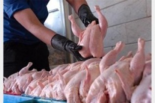 قیمت مرغ به 9800 تومان رسید