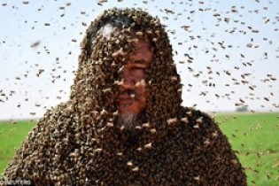 مرد زنبوری+تصاویر دیدنی