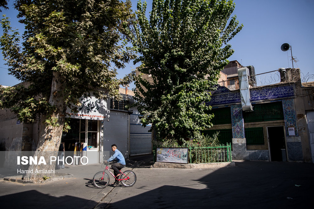 نمایی از ورودی تکیه رضا قلی خان که فقط درختان چنار آن در گذر «رضا قلی خان» باقی مانده است.