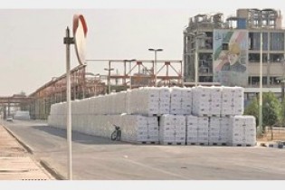 تعطیلی واحدهای پایین دستی پتروشیمی با احتکار دلالان