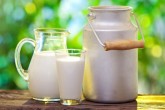 افزایش مجدد قیمت لبنیات در بازار/هر بطری شیر ۱۶۸ درصد گران شد