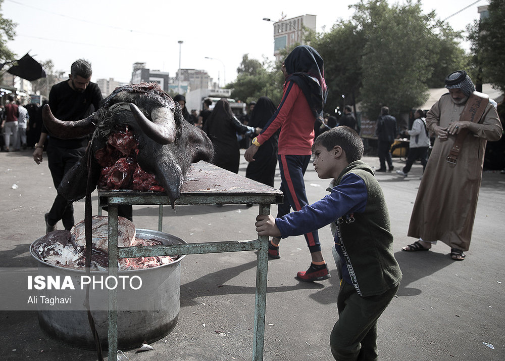بخش زیادی از غذای زائران از گوشت حیواناتی است که روزانه توسط موکب داران در محل ذبح می شوند.