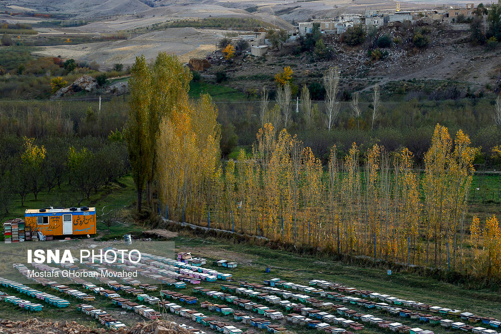 ایران زیباست؛ پاییز در شهرستان «اهر»