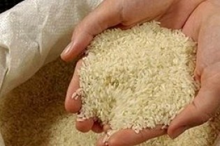 واردات برنج آزاد شد