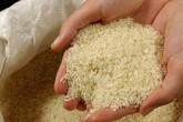 واردات برنج آزاد شد