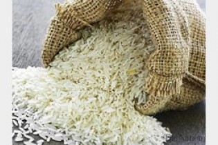 برنج ایرانی 10 درصد گران شد/ کمبودی در بازار نداریم