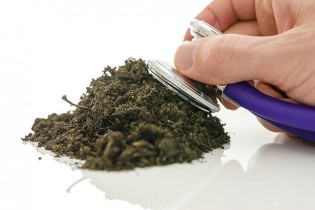 احتمال گسترش بیماری‌های ناشی از خاک در ایران