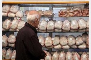 کمبودی در بازار مرغ نداریم/جوسازی روانی عامل گرانی