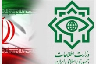 انهدام شبکه مفسدان ارز دولتی توسط وزارت اطلاعات