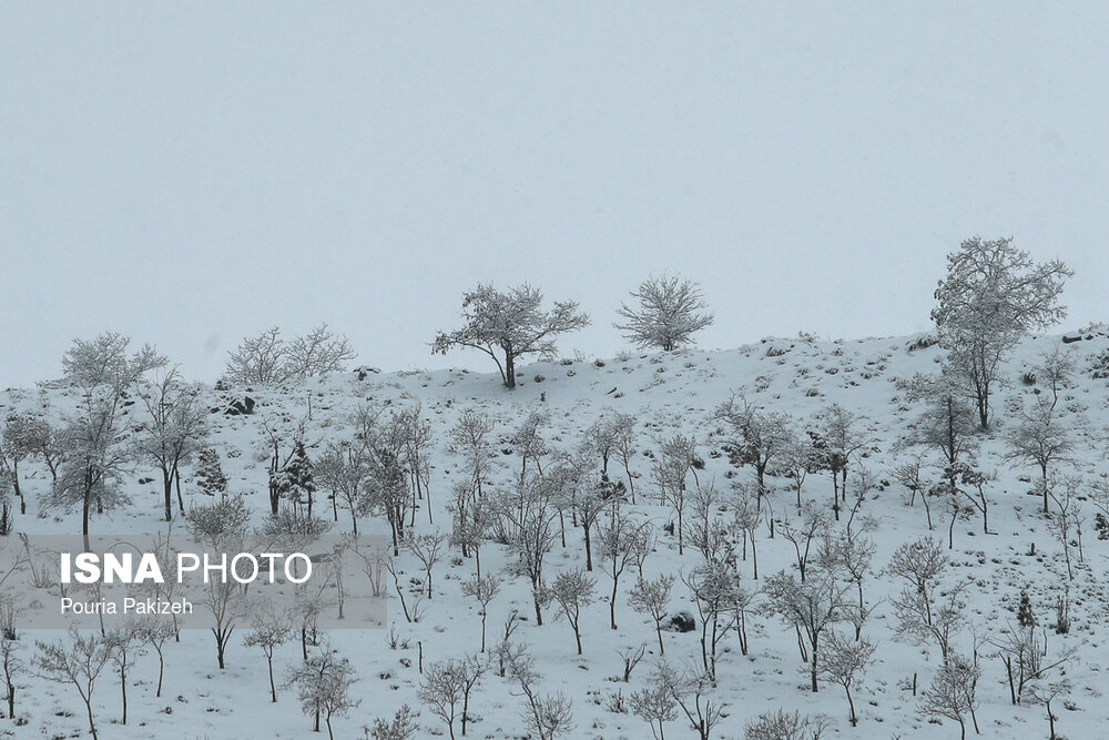 بارش برف زمستانی در همدان
