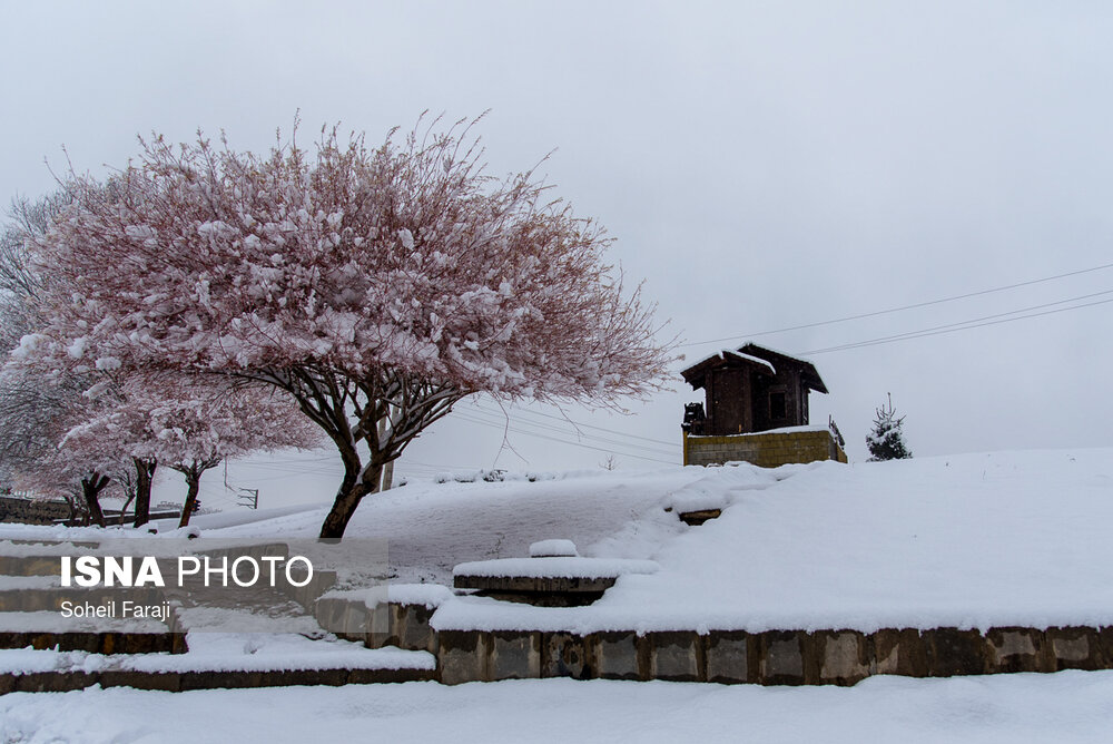 بارش برف زمستانی در ارومیه