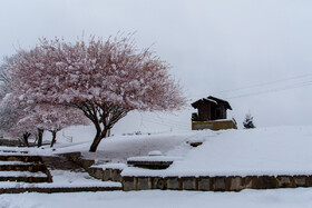 بارش برف زمستانی در ارومیه