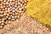 دلایل تغییر قیمت نهاده های وارداتی