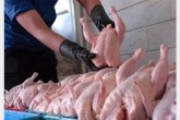 توزیع گسترده مرغ 8900  و 9800 تومانی