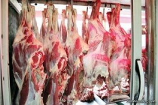 بازار گوشت قربانی شبکه معیوب توزیع/حجم عرضه باید بیشتر شود