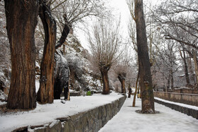 بارش برف زمستانی شهر کوهستانی شهمیرزاد در شهرستان مهدی‌شهر - استان سمنان