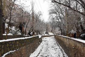 بارش برف زمستانی شهر کوهستانی شهمیرزاد در شهرستان مهدی‌شهر - استان سمنان