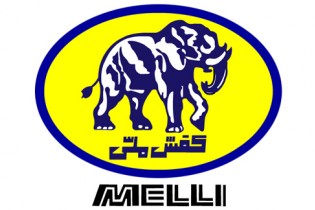 دیگر هیچ فروشگاه کفش ملی زیان ده نیست/افزایش ۲۲ میلیارد تومان فروش در ۹ ماه