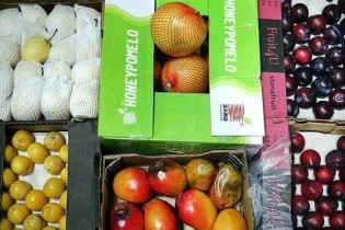 به محصولات قاچاق رحم نکنید/عرضه سموم کشاورزی فقط با نسخه