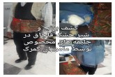 کشف برنج و شیرخشک قاچاق در جلیقه‌ مسافران ترکمنستانی!