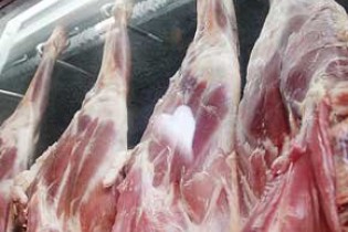 گره کور گرانی گوشت قرمز کجاست؟