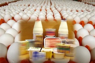 قیمت جهانی مواد غذایی بالا رفت