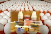 قیمت جهانی مواد غذایی بالا رفت
