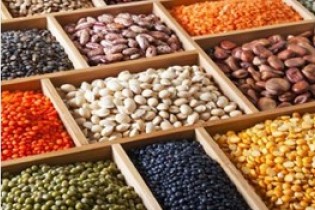افزایش تقاضای حبوبات در پی افزایش قیمت گوشت