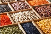 افزایش تقاضای حبوبات در پی افزایش قیمت گوشت
